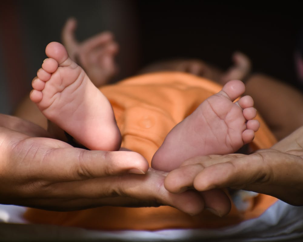 pexels-photo-8316306